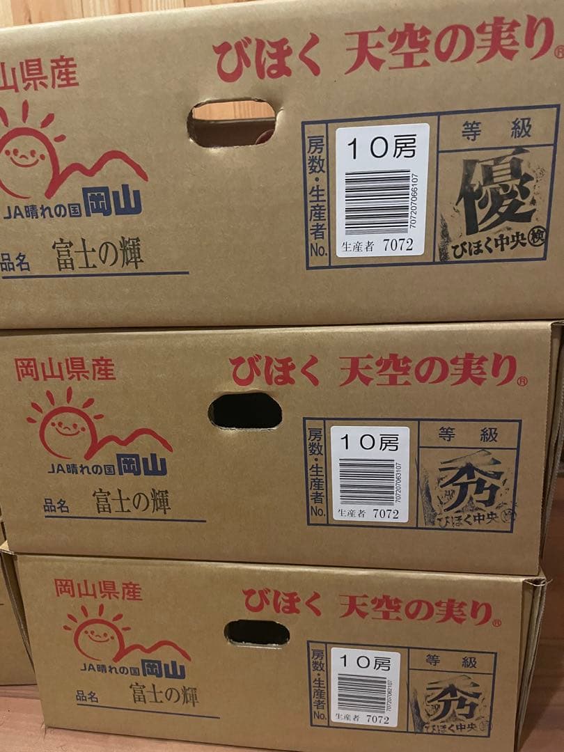 ② 【岡山県産】富士の輝　10房 約5キロ