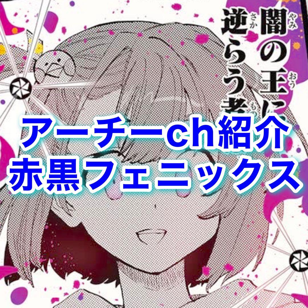 格安デッキ 赤黒フェニックス デイガフェニックス ゼロフェニックス デッキ