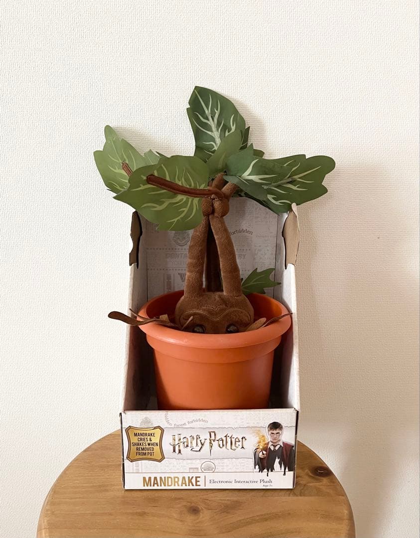 ハリーポッター☆マンドレイク　ノーブルコレクション