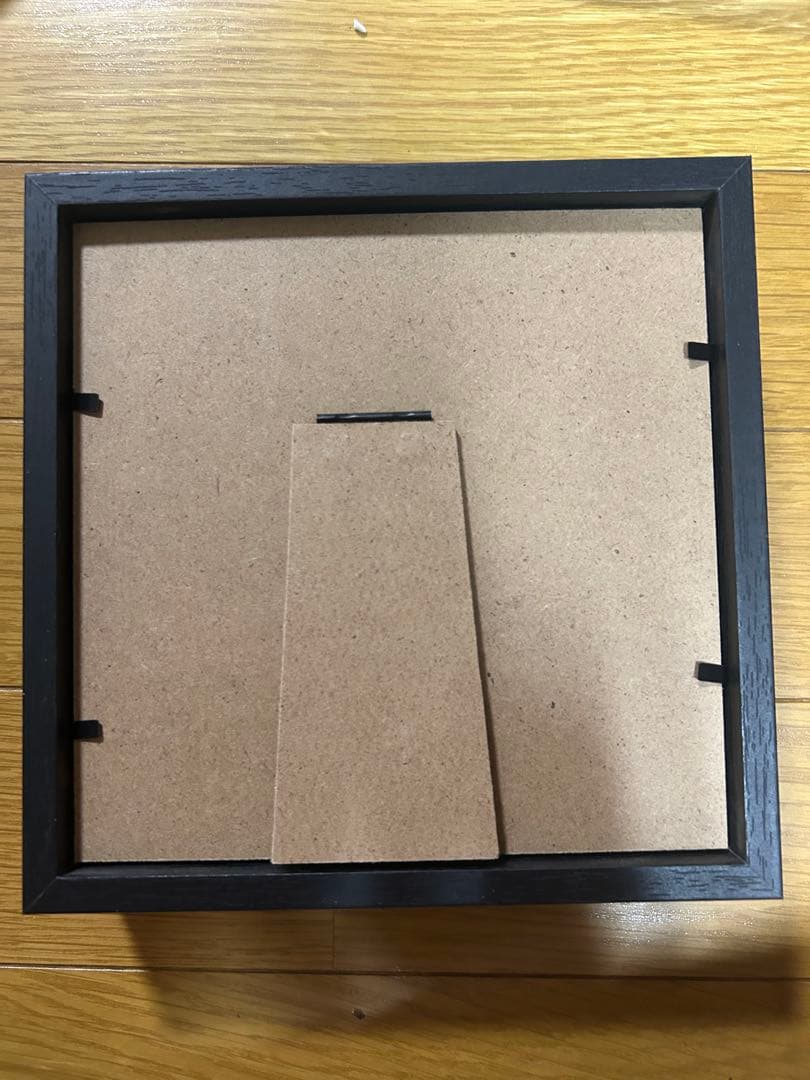 Angel's Wings 本物の蝶標本