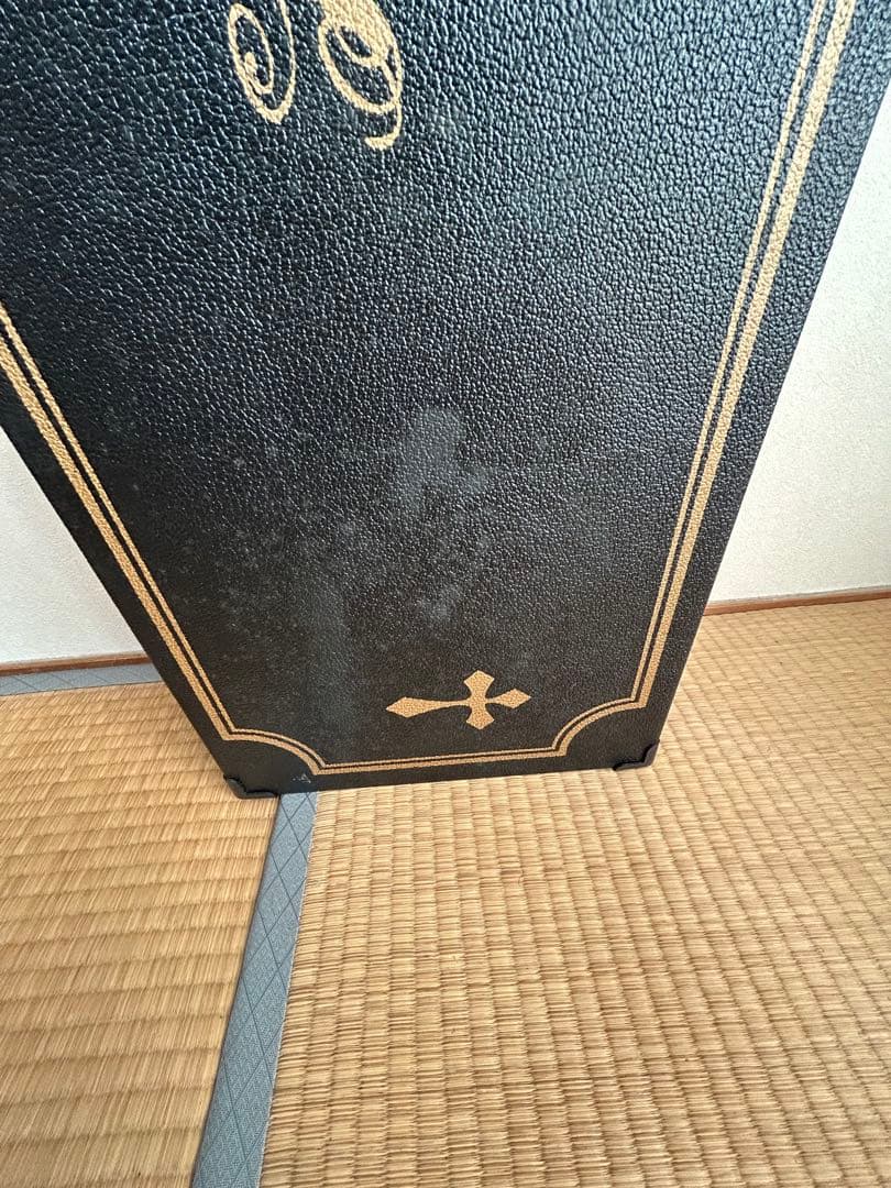 FERNANDES Lucy KANOKE 棺桶 BUCK-TICK 今井寿