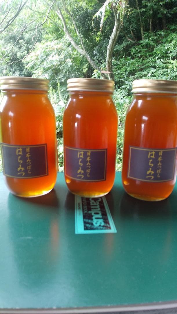 日本ミツバチ蜂蜜百花蜜　1000ｇ3本