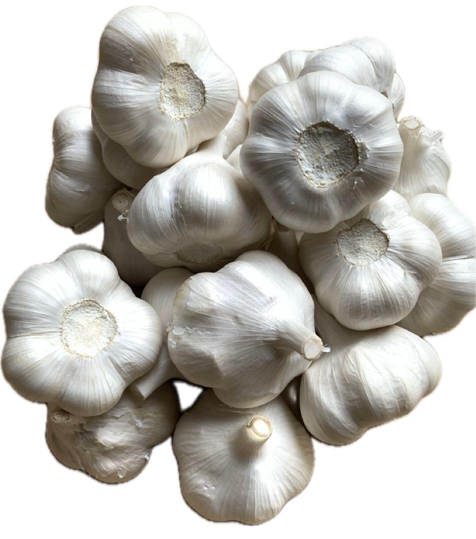 にんにく最高級にんにく10キロ　2Lサイズ青森県産にんにくホワイト六片種にんにく