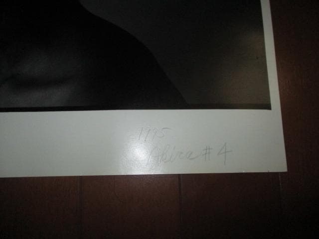 人物写真 (1995 akira #4 406mmx508mm 送料込み!!)