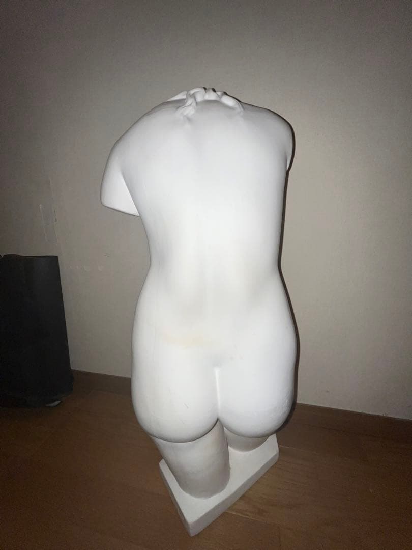 石膏像　裸婦像 ヴィーナス