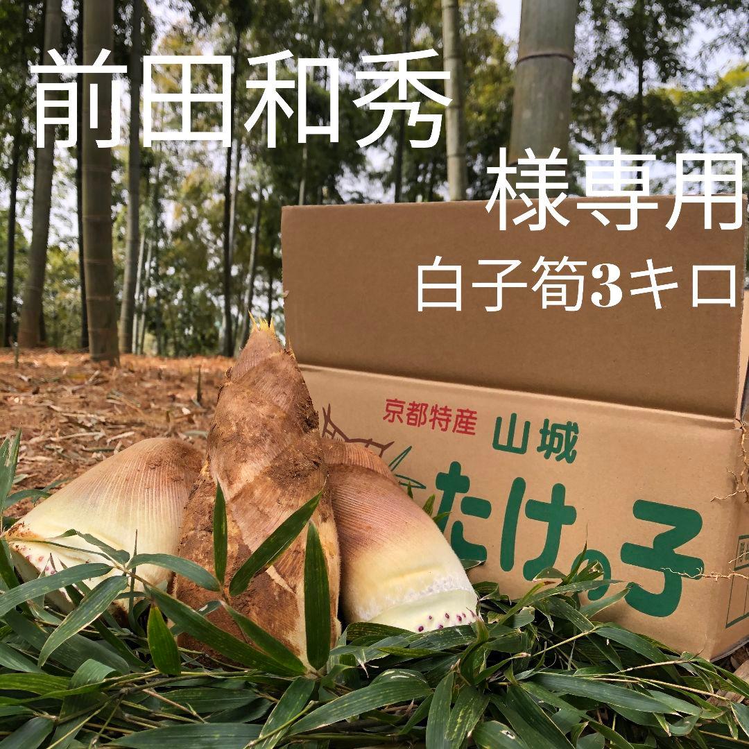 前田和秀　白子筍3キロクール