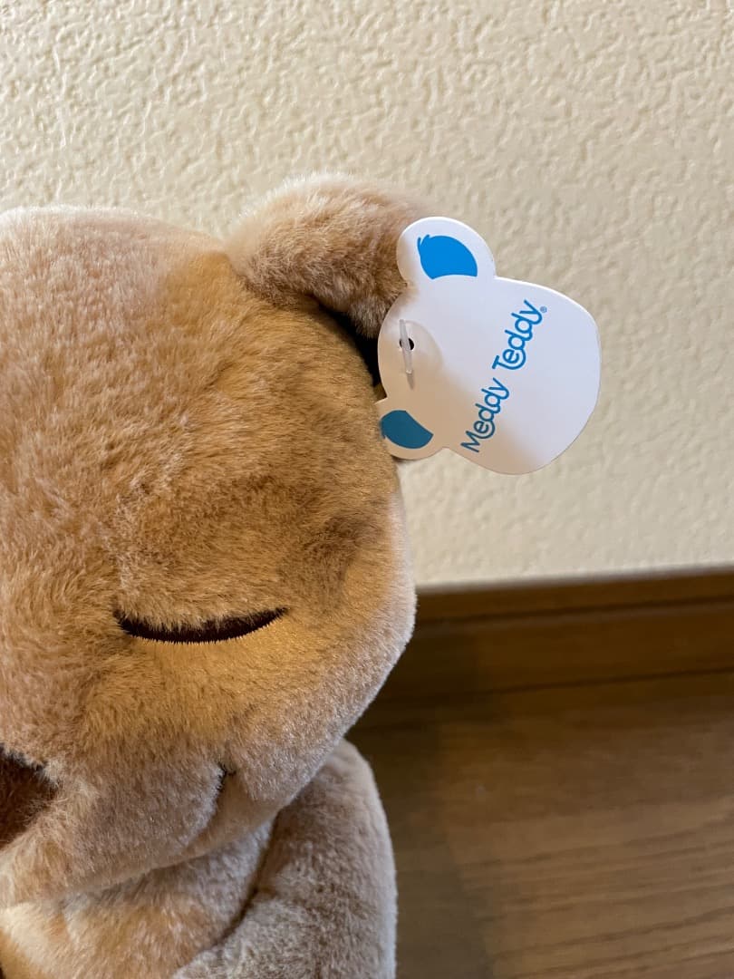 Meddyteddy ヨガ　くま　ぬいぐるみ
