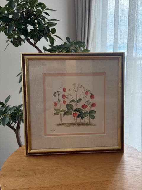 限定2500円OFF ロンドンV&A　フラワーアート　2点　額装＆マット付き