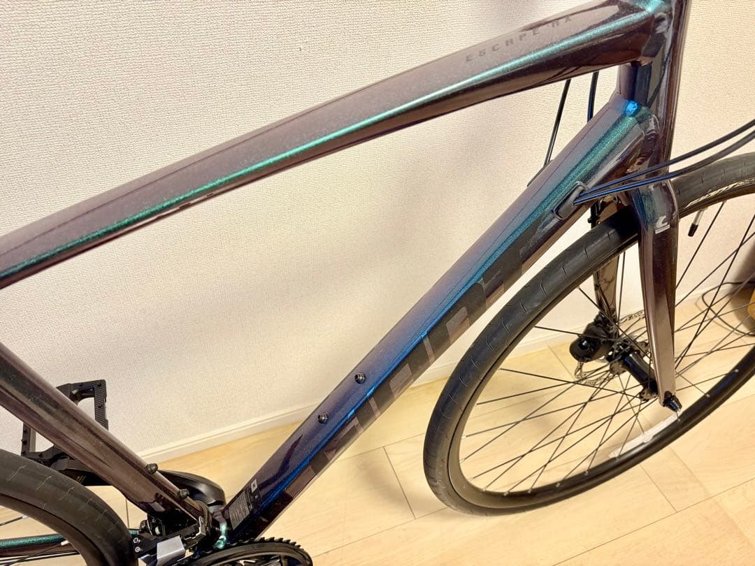 ⭐︎希少極上2022 Giant RX2 Disc ジャイアント ディスクブレーキ