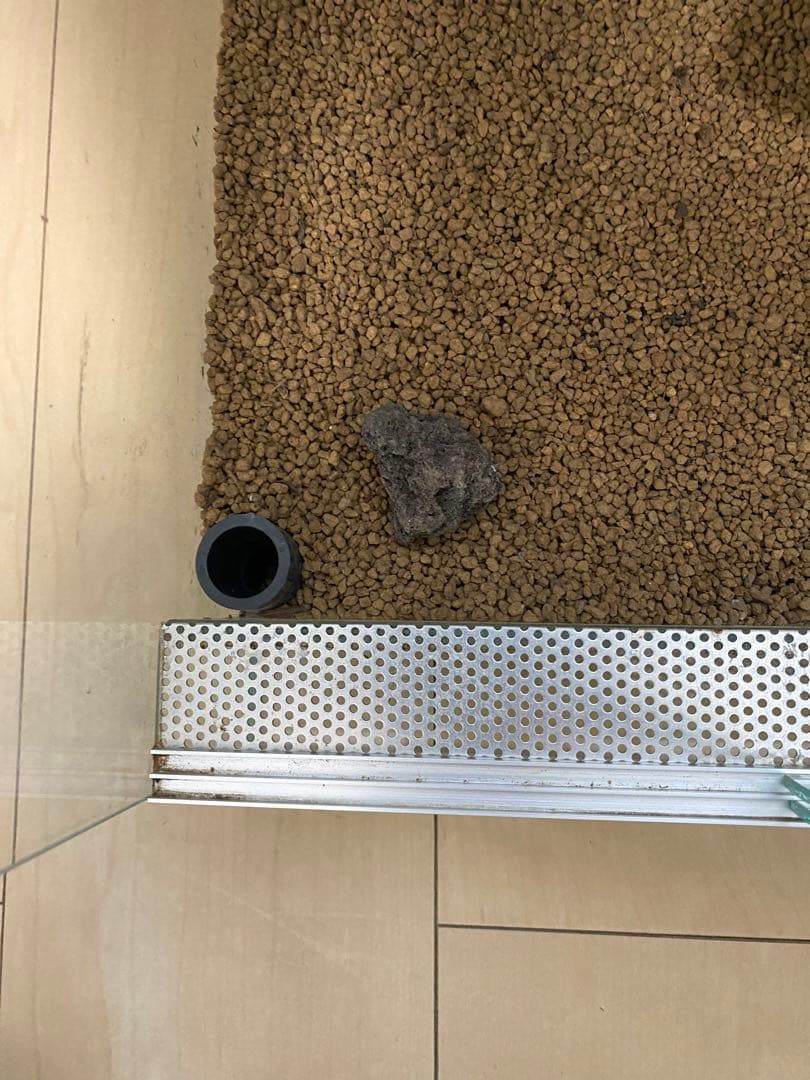 パルダリウム　ビバリウム　水槽セット