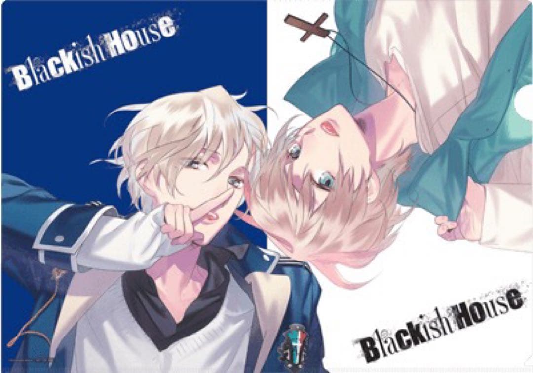 Blackish House ビッグタオル 布ポスター　有村乃亜 阿久根セラ