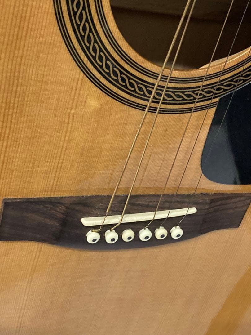 ギター Johnson EST.1993 electro-acoustic guitar