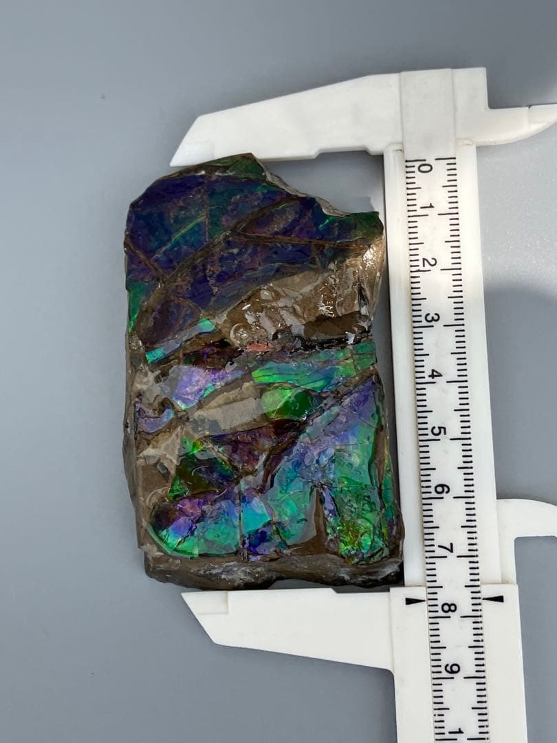 化石　原石　アンモライト　アンモナイト　幅7.7cm カナダ産　箱付き