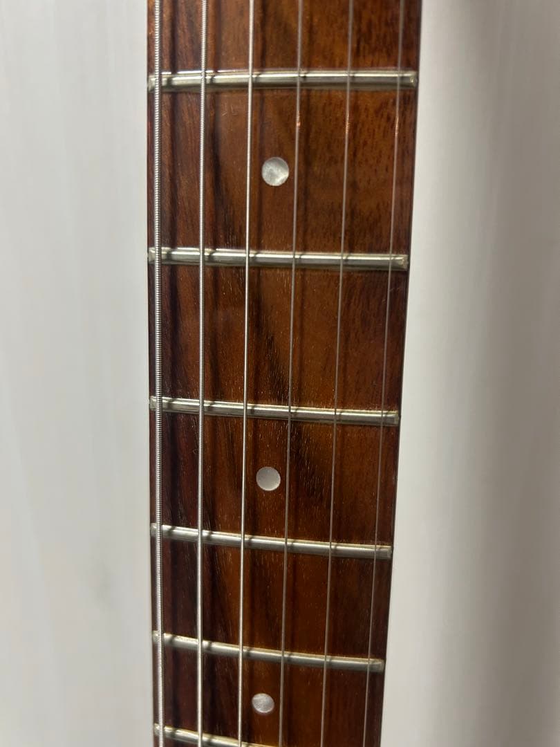 【はとぽぽ】リッケンバッカー330