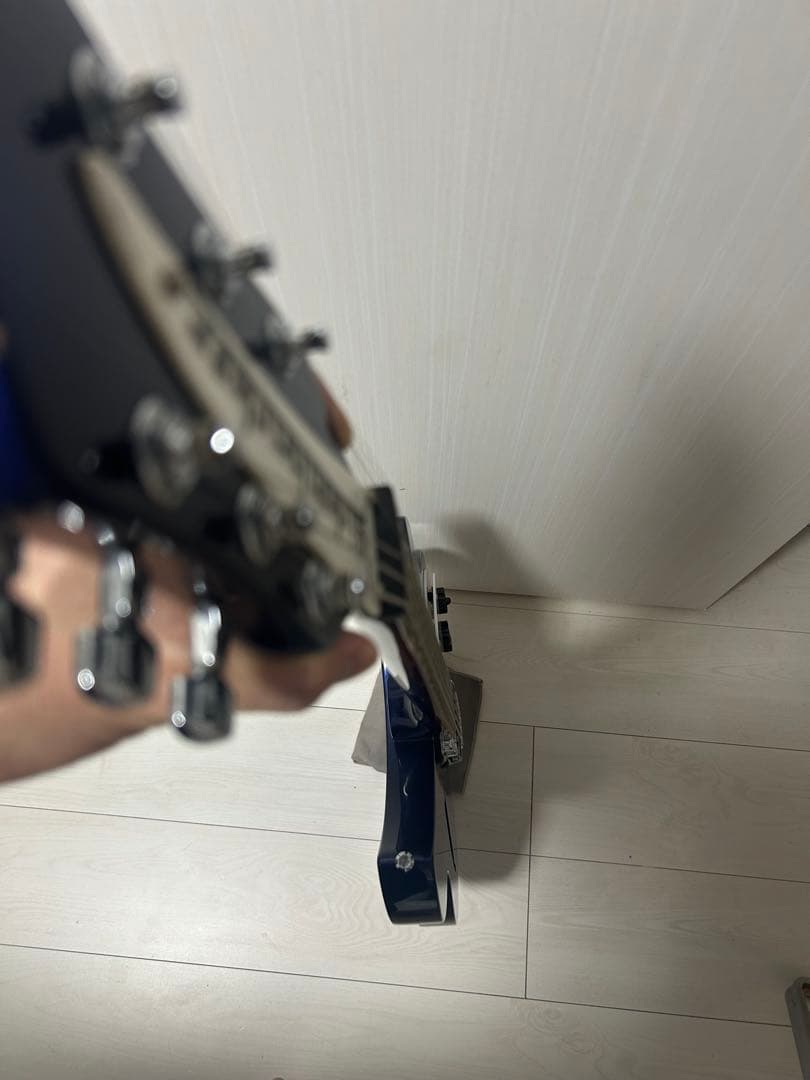 【はとぽぽ】リッケンバッカー330