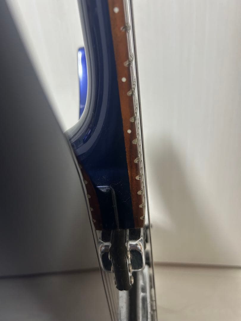 【はとぽぽ】リッケンバッカー330