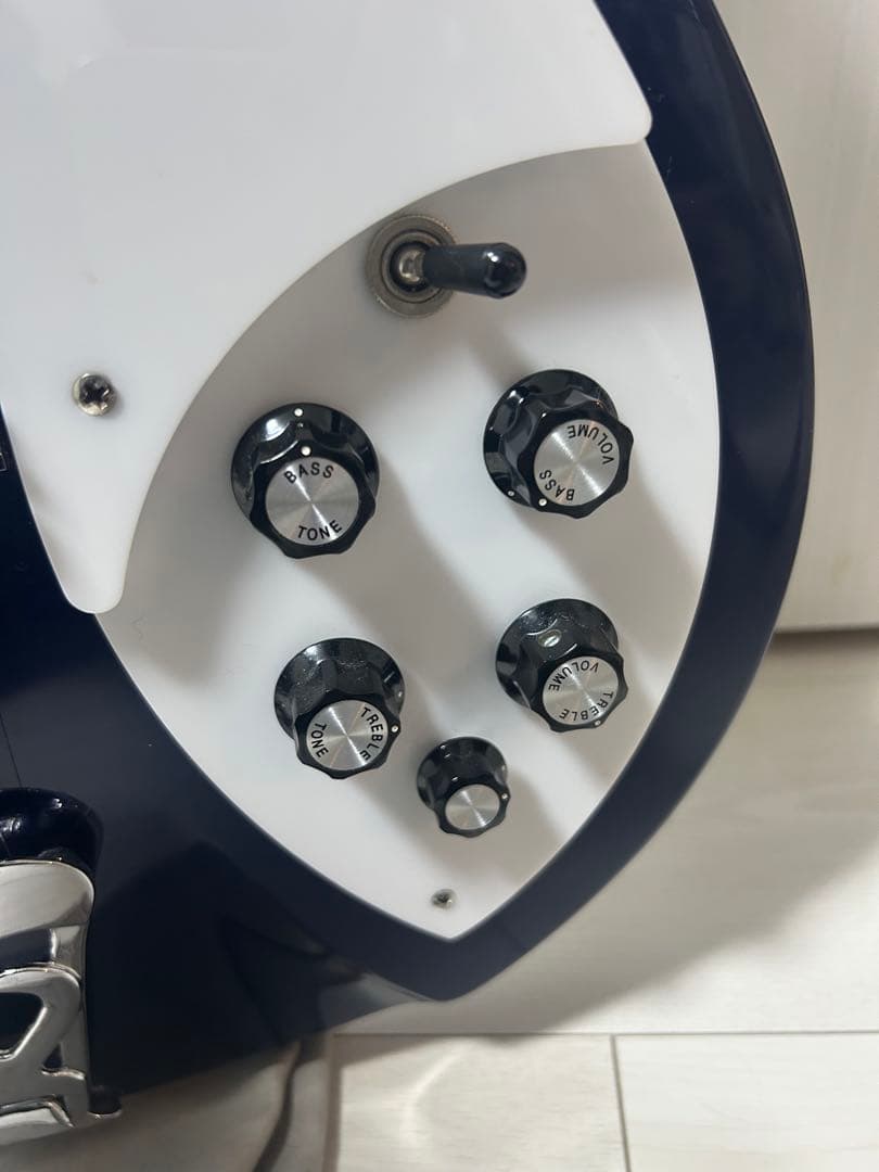 【はとぽぽ】リッケンバッカー330