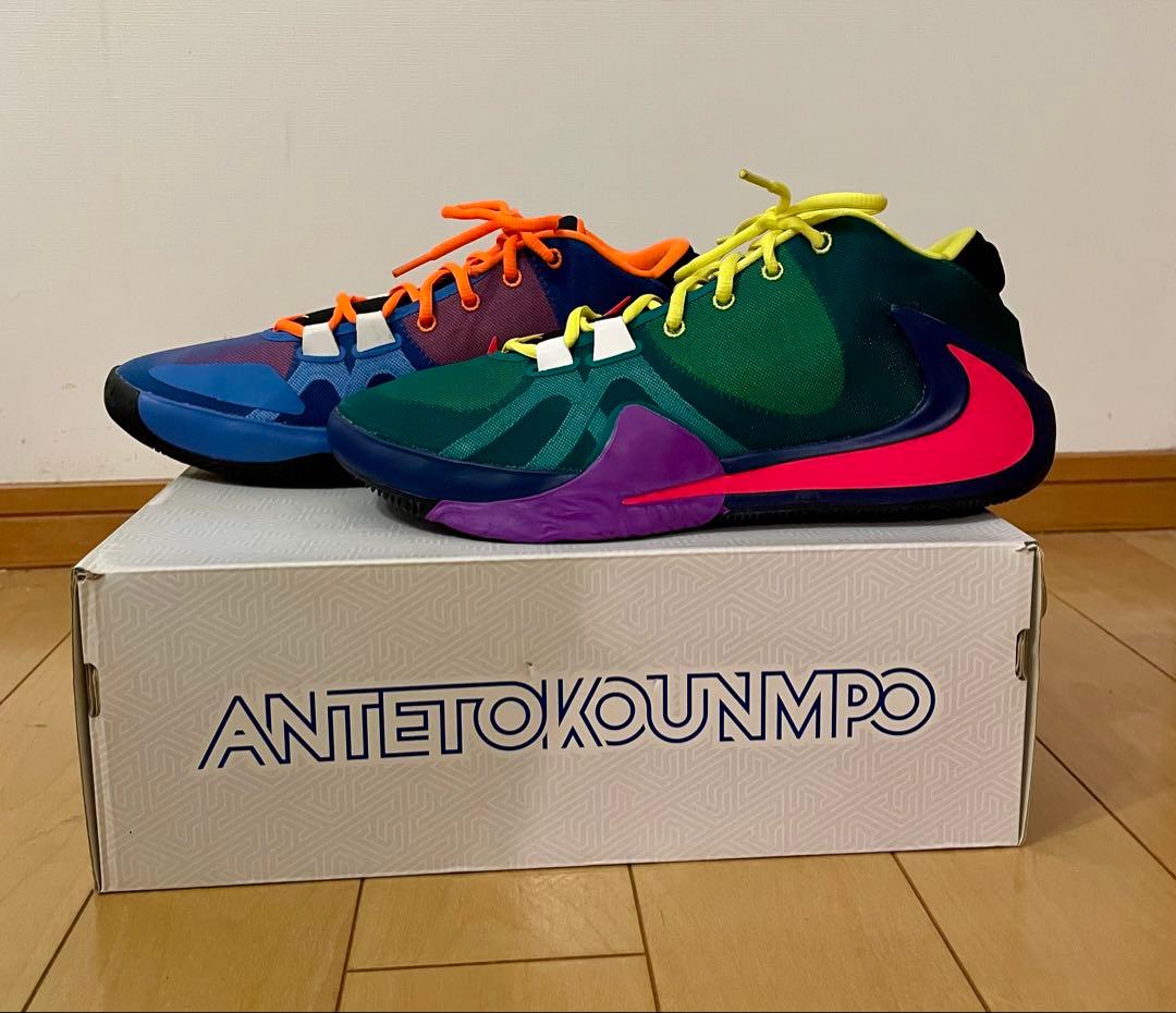 NIKE、ズームフリーク1、29センチ