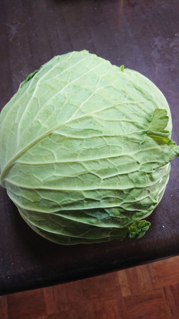 冬野菜、御所柿セット奈良県産