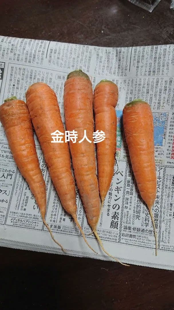 冬野菜、御所柿セット奈良県産