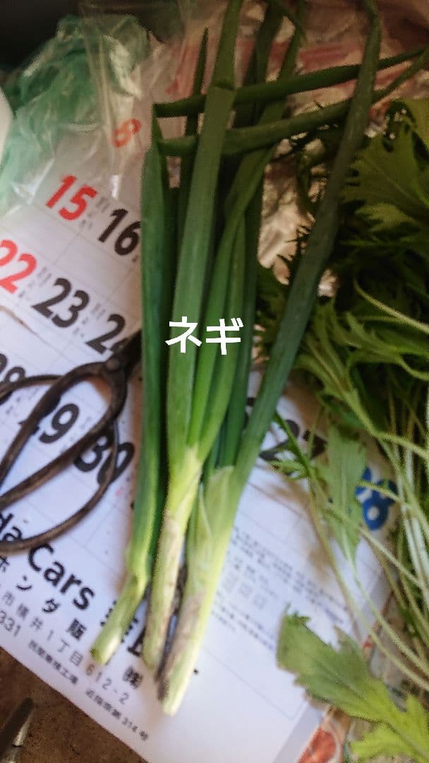 冬野菜、御所柿セット奈良県産