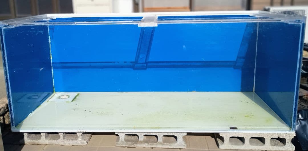 大型アクリル水槽 1500×600×600 プロフ必読
