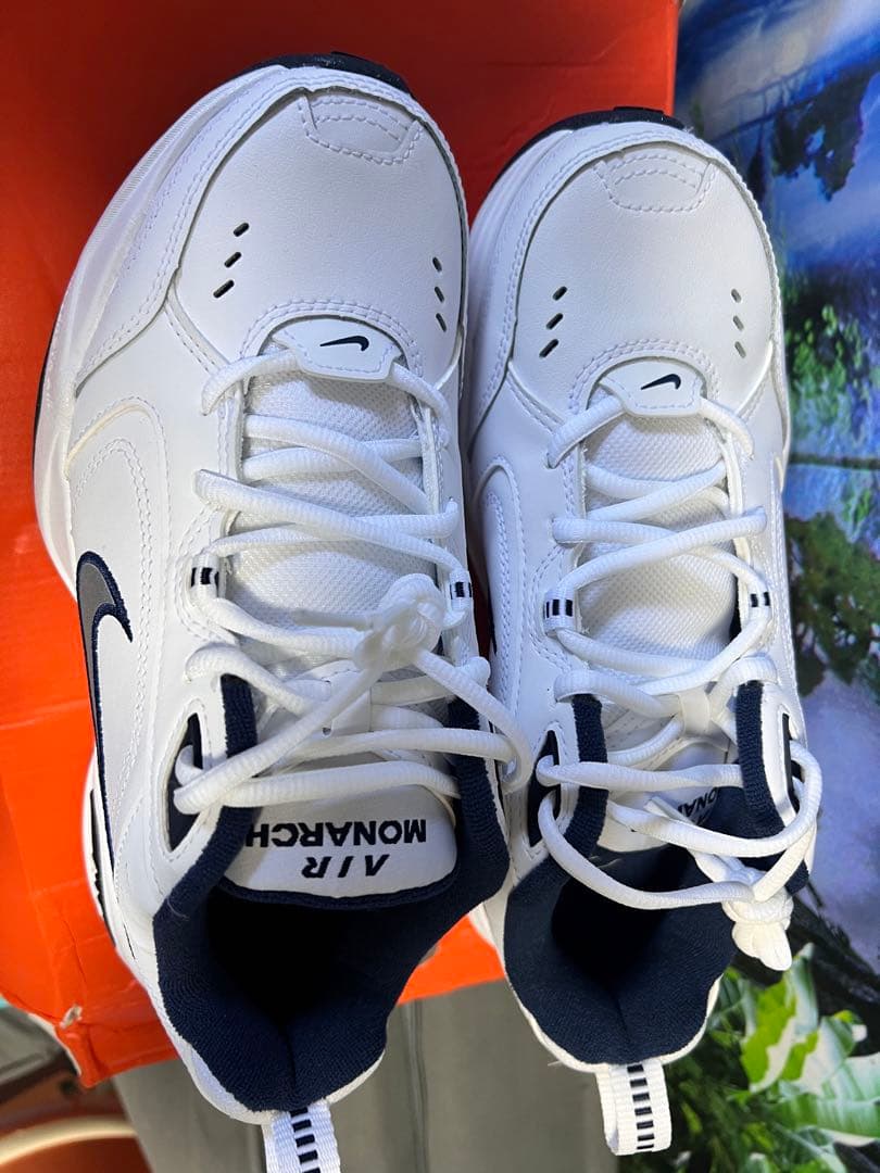 シューズ(男性用) NIKE IAR size 25cm