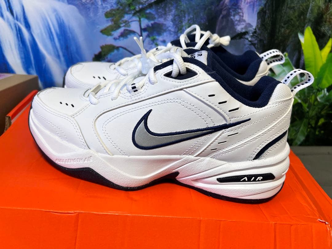 シューズ(男性用) NIKE IAR size 25cm