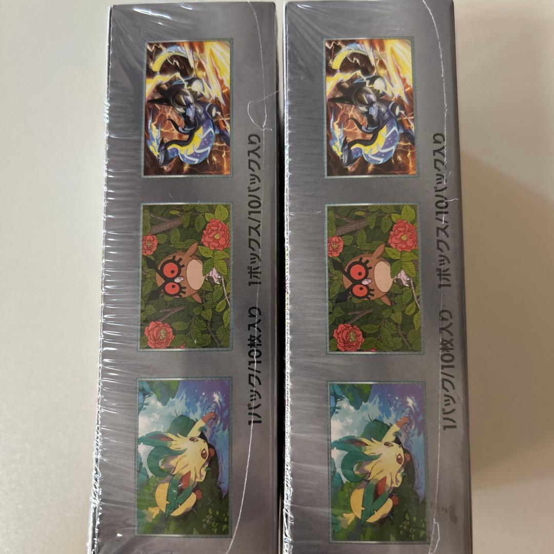 ポケモンカードゲーム テラスタルフェスEX 2パック　シュリンク付　新品　未開封