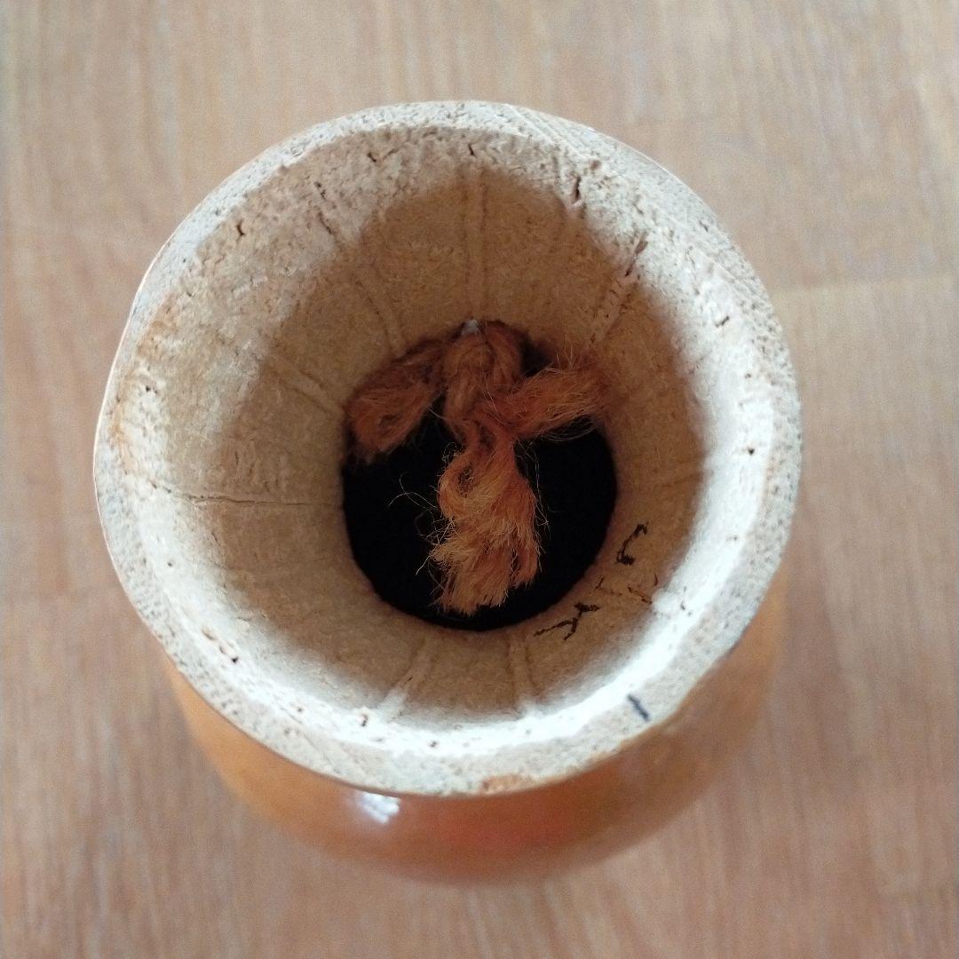 フラダンス　イプ　(手作りケース付)