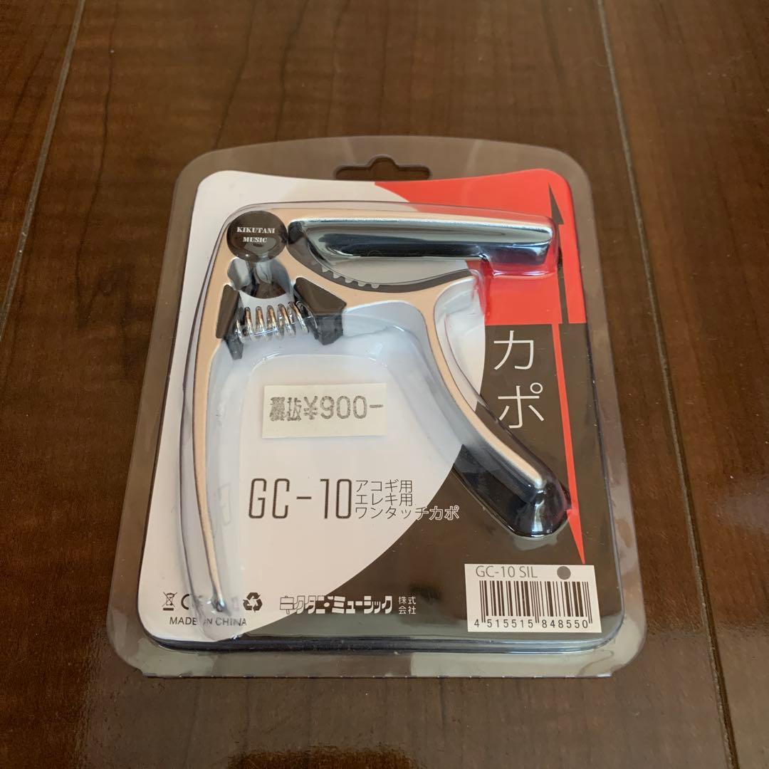 Taylor GS Mini ケース付