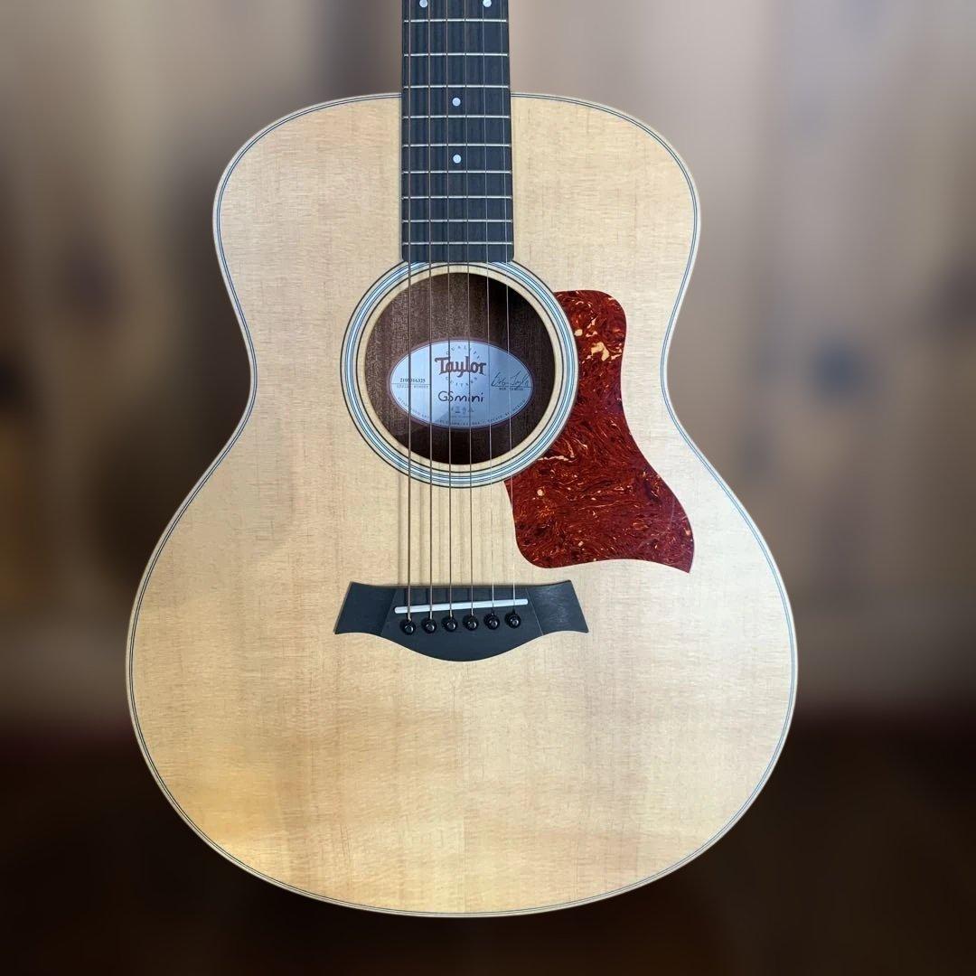 Taylor GS Mini ケース付
