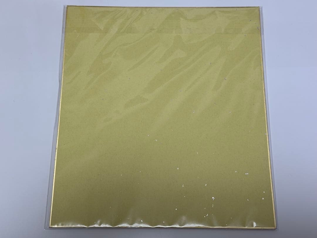 邪神ドロップキック 直筆サイン 色紙 長谷川玲奈 アトレ