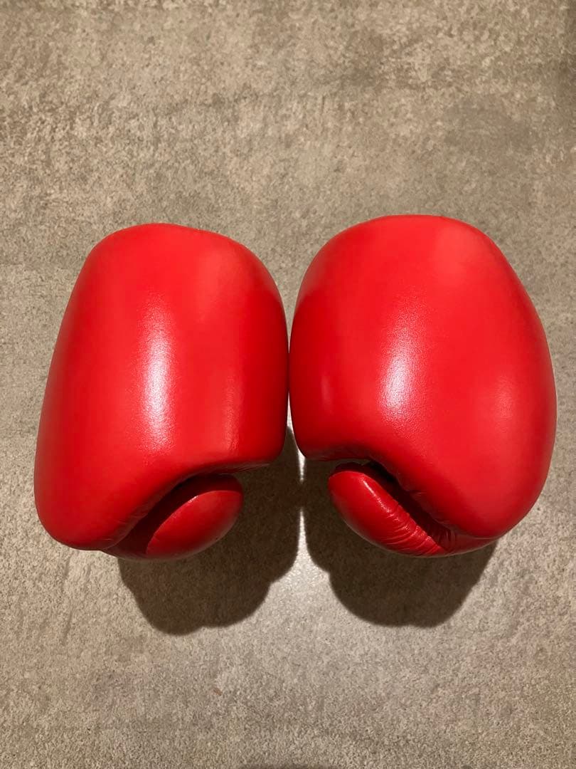 winning ウィニングボクシンググローブ レッド 8オンス MS-200B