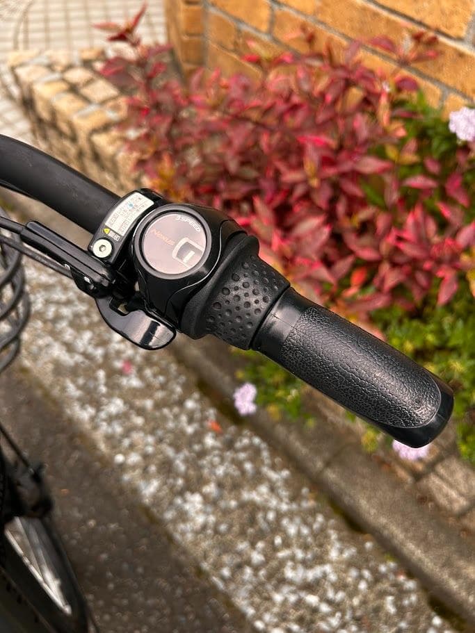 送料込　ブリヂストン ビッケモブ dd（子ども乗せ電動アシスト自転車）2020