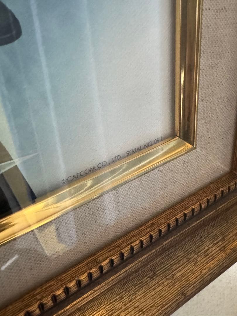 バイオハザード 20周年記念 キャンバスアートシリアルナンバー付き　額付き