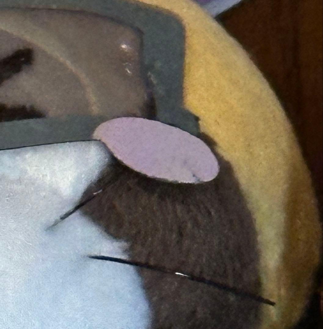 希少　タグつき　進撃の巨人 ×ラスカルコラボ　グッズセット