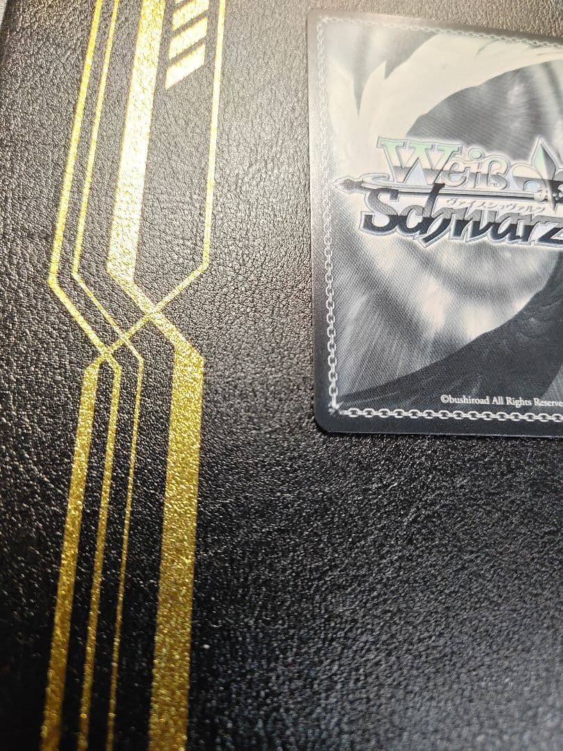 Dream Believers 大沢 瑠璃乃　SEC