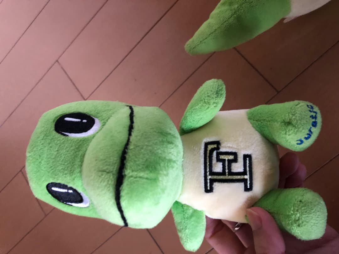 恐竜博物館　ぬいぐるみ　ジュラチック　かみつき　ラプト　　福井　NEWS　増田