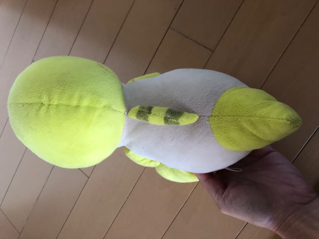 恐竜博物館　ぬいぐるみ　ジュラチック　かみつき　ラプト　　福井　NEWS　増田