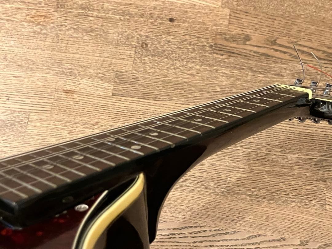 aria エレキマンドリン (Ritter ケース付き)