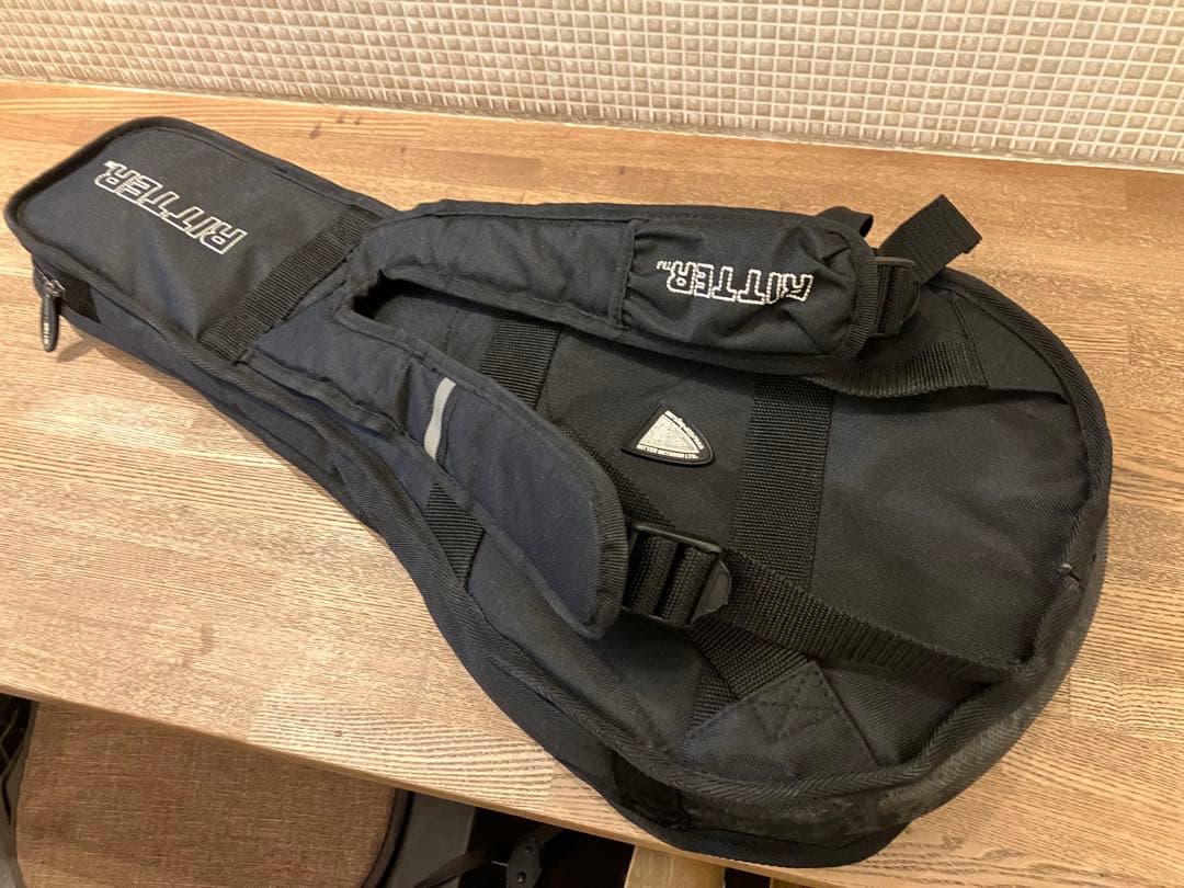 aria エレキマンドリン (Ritter ケース付き)