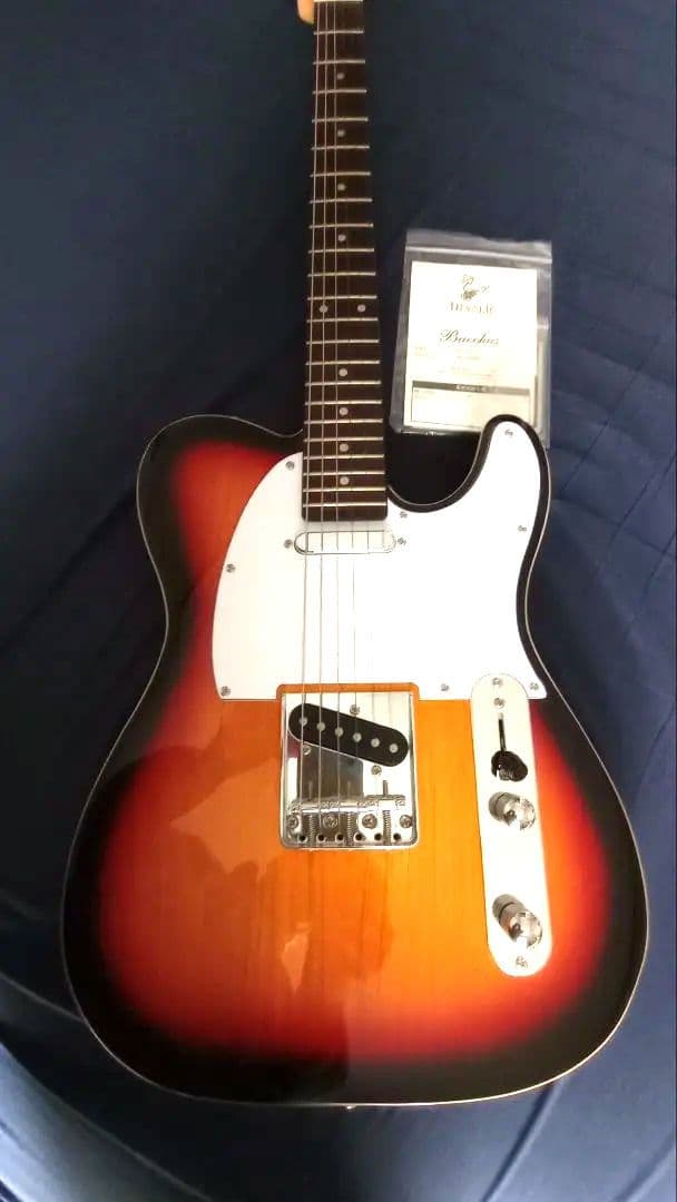 バッカス テレキャスター Bacchus BTC-1R 3TS 極美品 生産終了