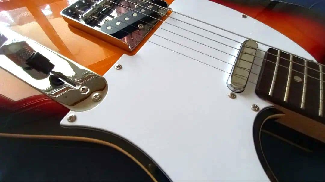 バッカス テレキャスター Bacchus BTC-1R 3TS 極美品 生産終了