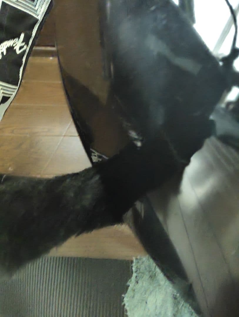 【生産終了】【激レア】Fender Starcaster ストラト　エレキギター