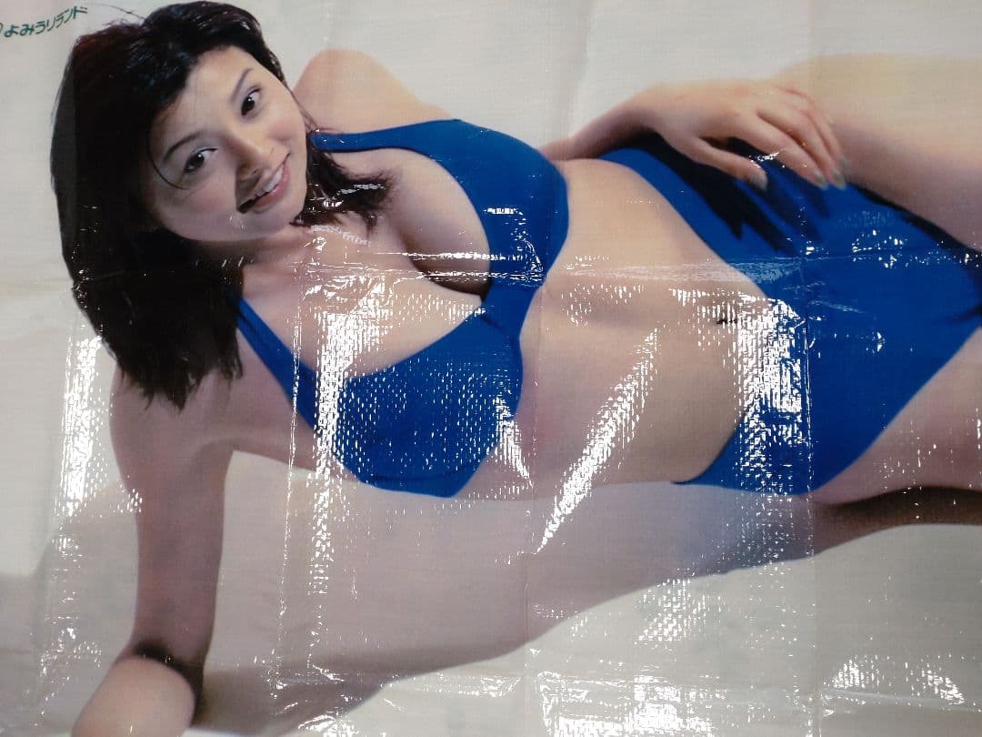 未使用　貴重　巨匠・アラーキー　荒木経惟✕藤原紀香　非売品　レジャーシート　芸術