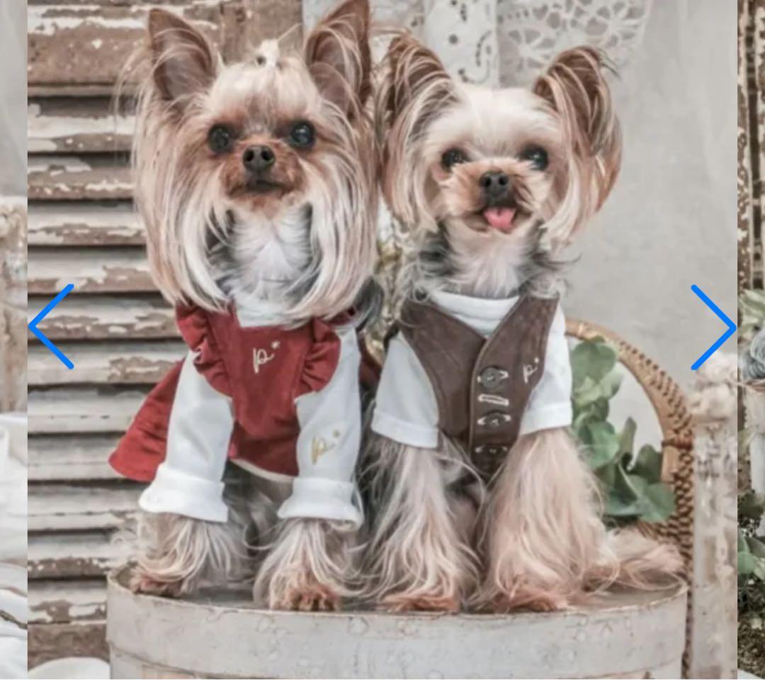 PP* closet ビンテージイタリアンジレ