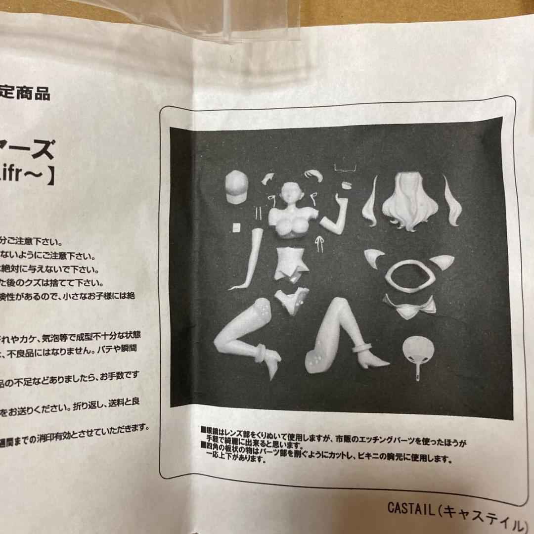 舞 乙HiME レナ セイヤーズ ガレージキット CASTAIL