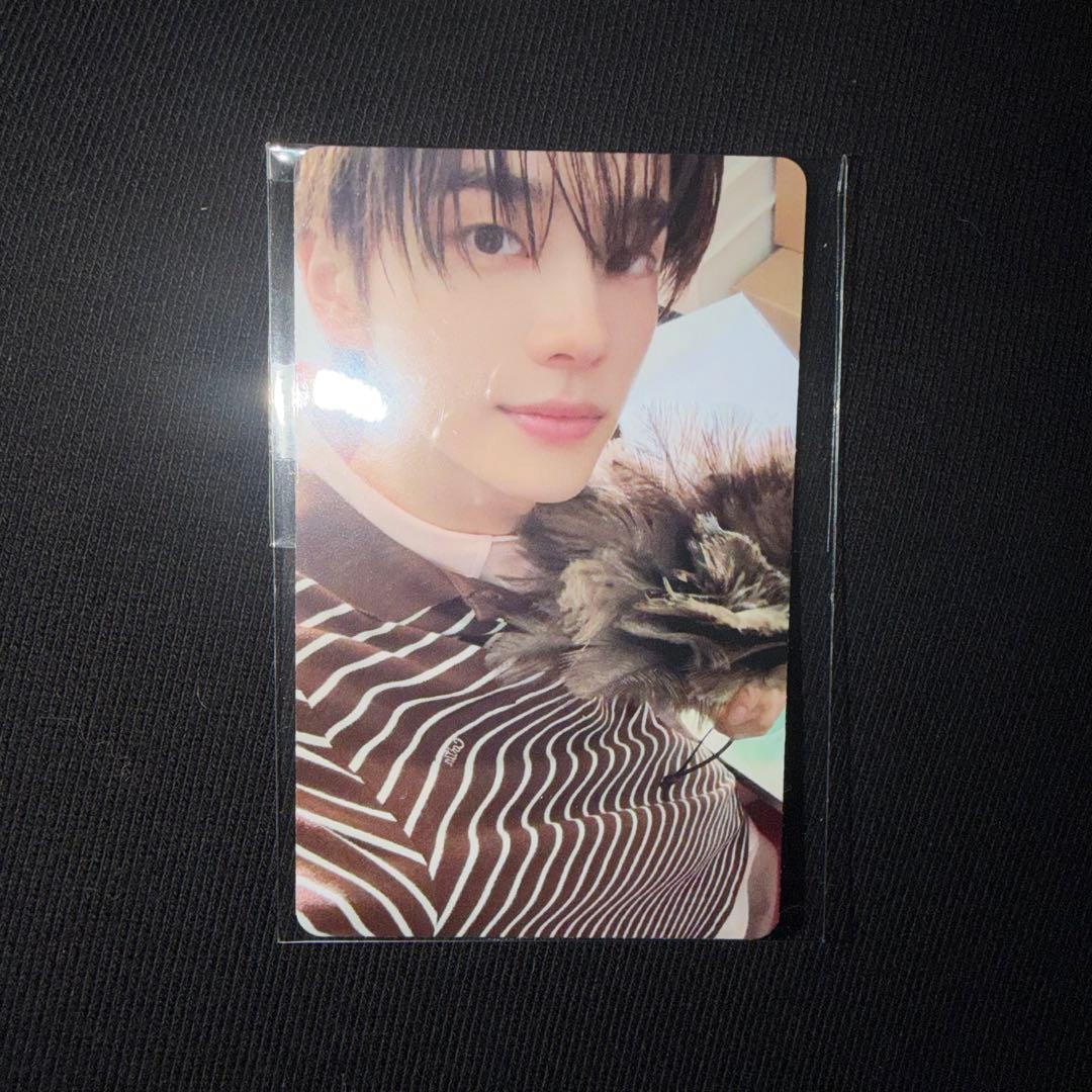 tws シニュ by fans 特典 トレカ