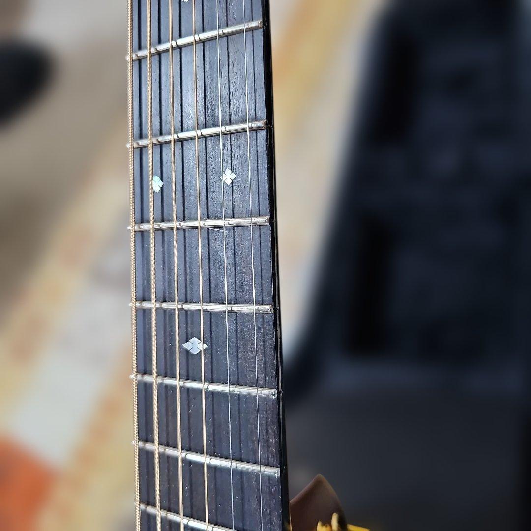 Cat's Eyes.CE118プロトタイプ オール単板。ハードケース付き